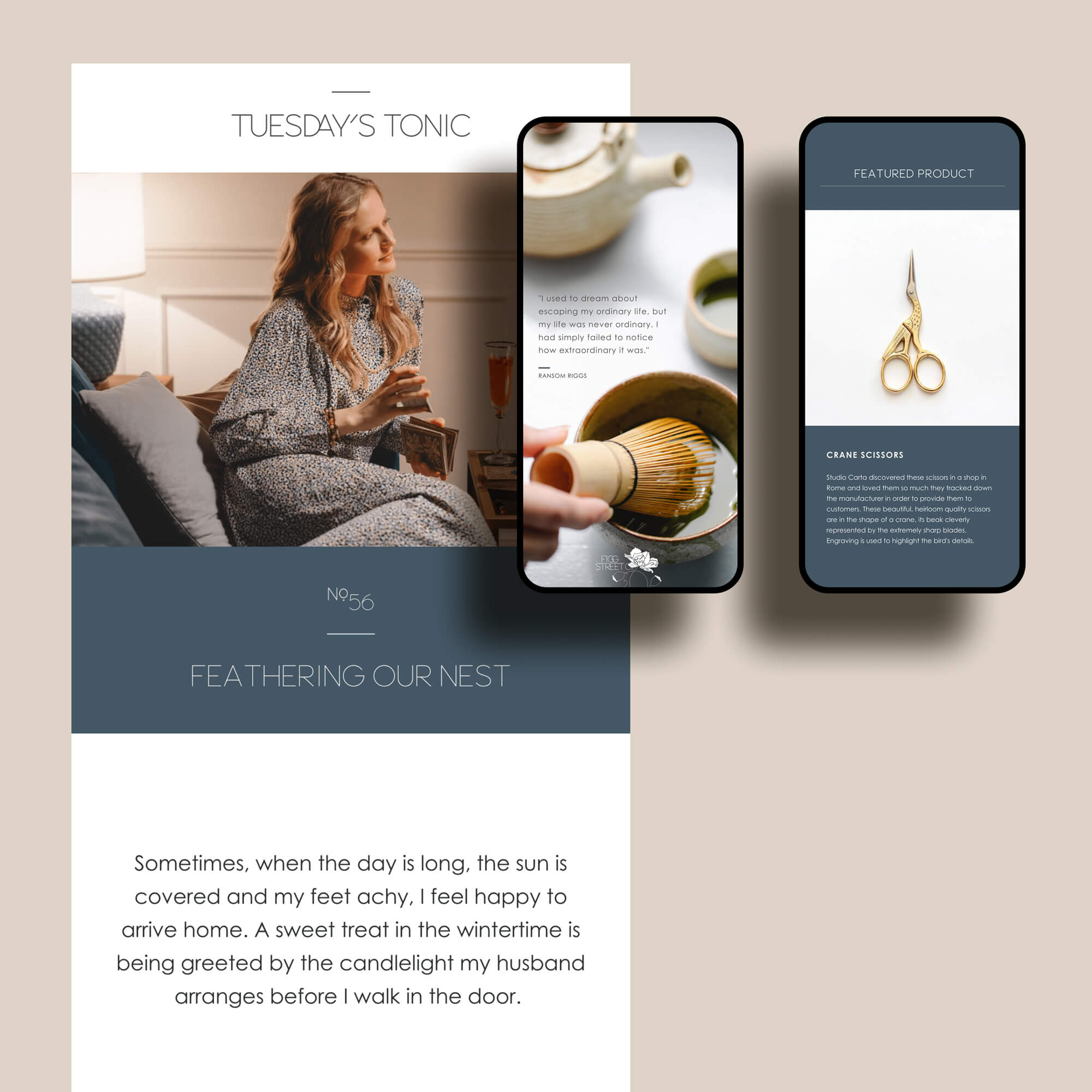 Shopify ecommerce website design and digital marketing for Figg Street Co. by Tulip Tree Creative